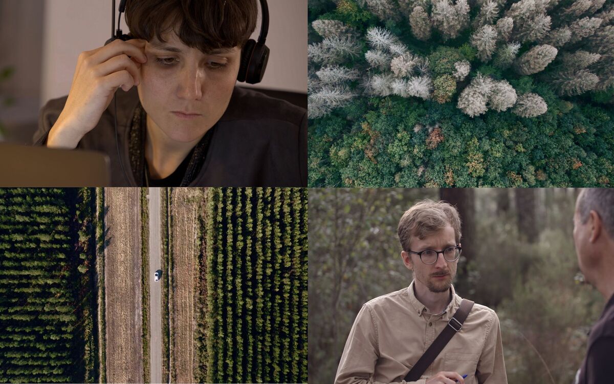 Quatre images du documentaire : Alice journaliste, vue aérienne d'une forêt, route entre parcelles, Grégoire en entretien forestier